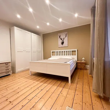 Forest In * Alfeld (Lower-Saxony)