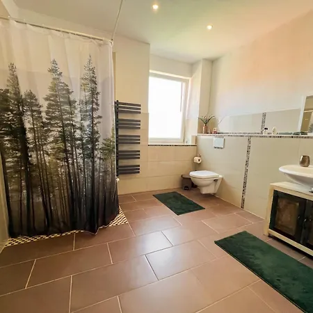 Forest In Alfeld (Lower-Saxony)