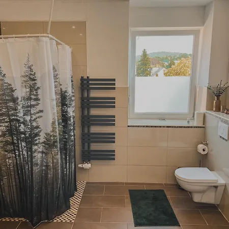 Forest In * Alfeld (Lower-Saxony)