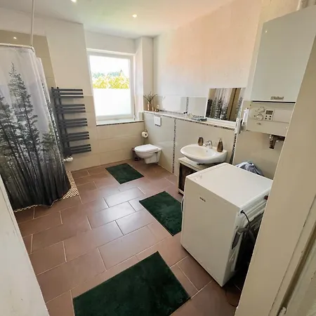 Forest In Alfeld (Lower-Saxony)