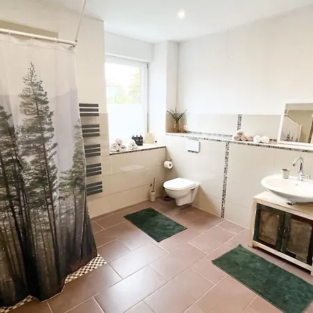 Forest In *